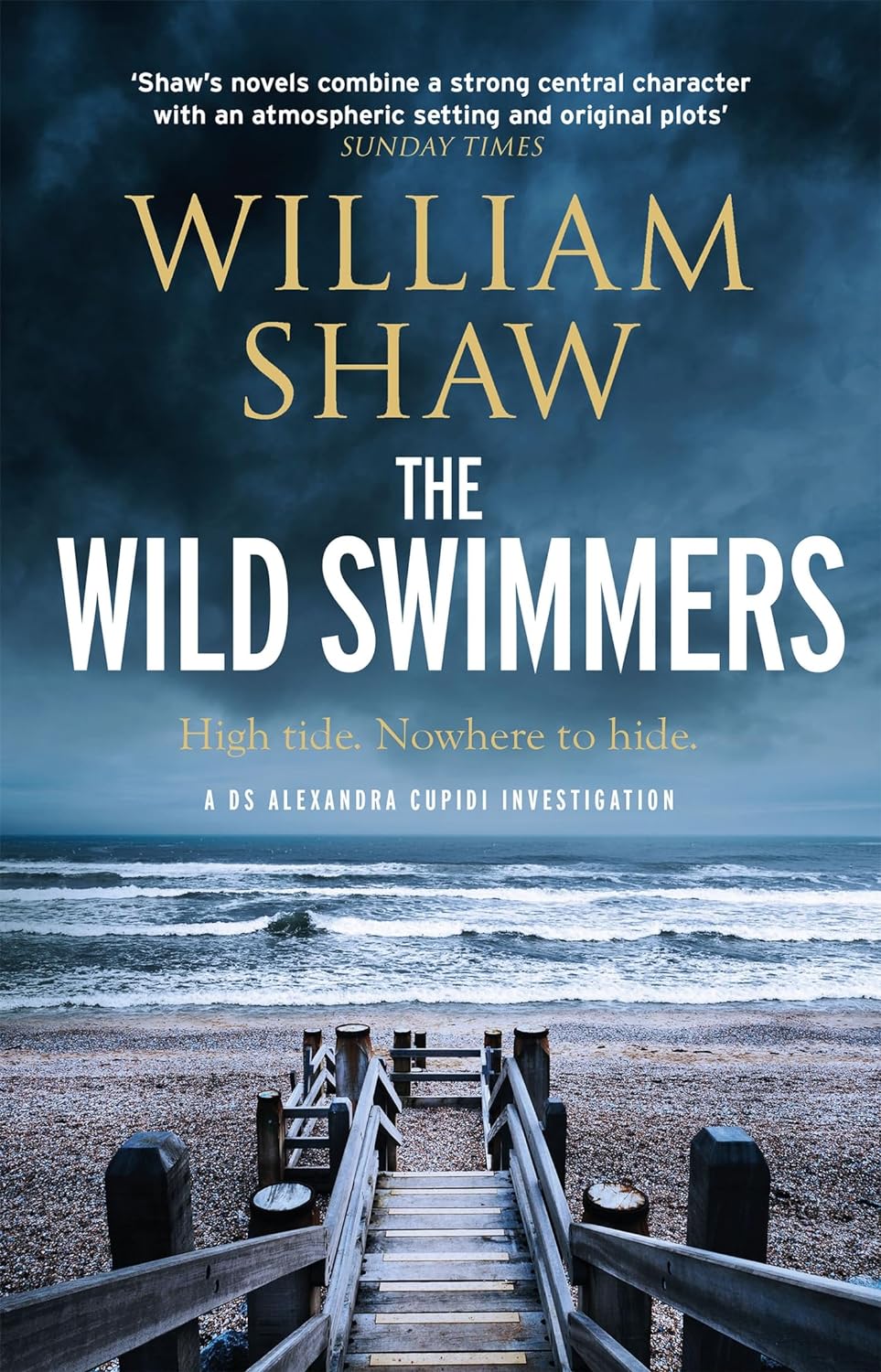 The_Wild_Swimmers_book_cover.